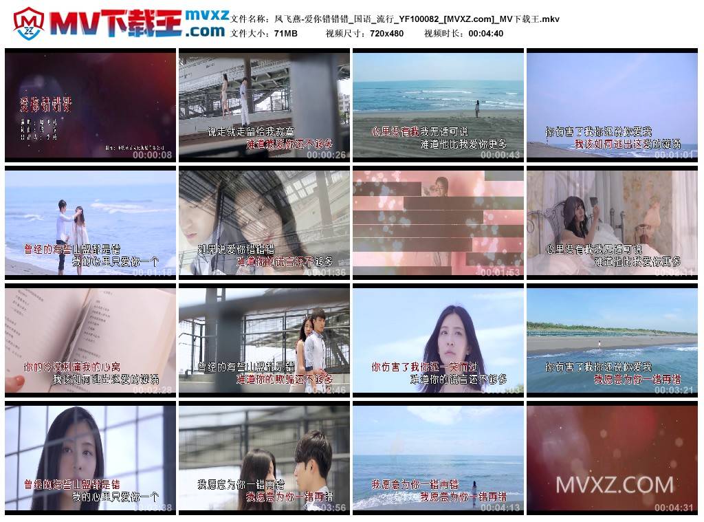 凤飞燕-爱你错错错_国语_流行_YF100082